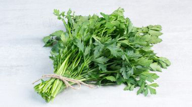garnishing-instructions-image